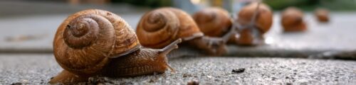 Why cheap website hosting could be costing your small business more than you think